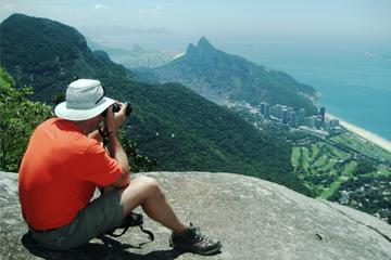Tijuca Forest Half-Day Hike