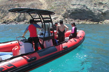 Scuba Diving Tour in the Coronado Islands