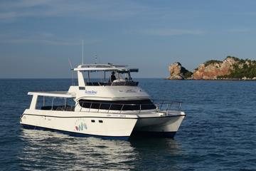 Snorkeling Day Trip to Koh Tao from Koh Samui