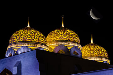 Best of Muscat by Night Tour
