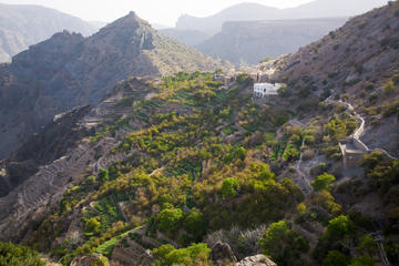 Day Trip to Green Mountain and Jebel Al Akhdar from Muscat