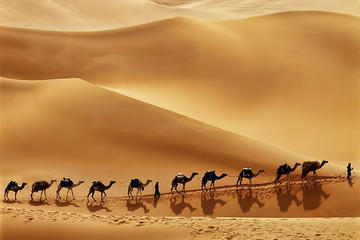 Oman Classic 6-Day Tour From Muscat