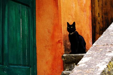 Luberon Small-Group Guided Day Trip from Avignon