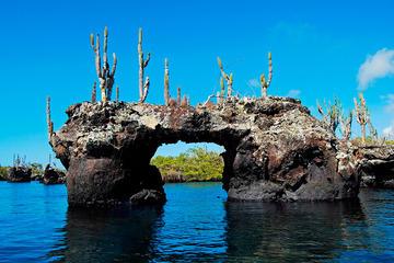 6-Day Galapagos Land Tour: Los Tuneles Program