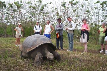 7-Day Tour of Galapagos and Quito Including Hotel and Transfers