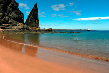 8-Day Galapagos Island Hopping Tour: Land Tour Including 4 Islands
