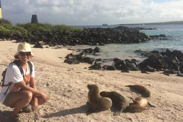 8-Day Tour of Galapagos and Quito Including Hotels and Transfers