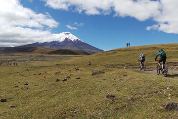 Cotopaxi National Reserve Bike and Hike Day-Trip