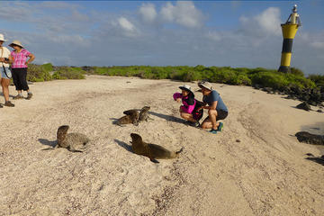 Espanola Galapagos Day Trip from San Cristobal Island