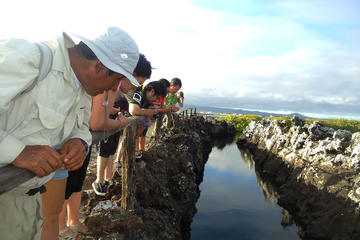 Half-Day Tour to Tintoreras Islet in Isabela Island - Galapagos