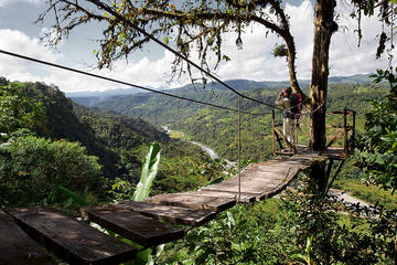 Mindo Cloud Forest Day Trip from Quito