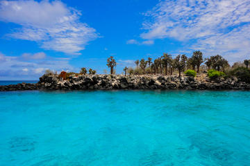 Santa Fe Galapagos Snorkeling Day Trip plus Playa Escondida - Includes Lunch