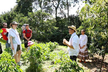 Full-Day Private Colombian Coffee Tour Filandia and Salento from Armenia