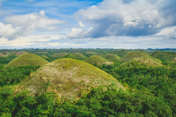 Day Swing to Bohol