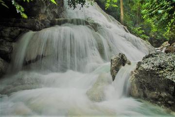Oslob Whaleshark with Aguinid Waterfalls