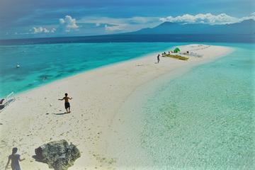 Oslob Whaleshark with Sumilon Island