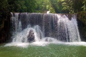 St Elizabeth Rum and Waterfall Experience