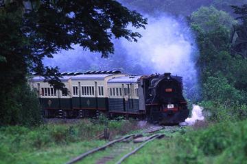 Half-Day North Borneo Railway Train Ride