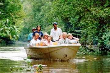 Klias Wetlands' River Safari