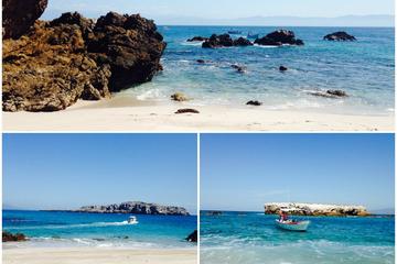 Marietas Islands Eco Discovery Snorkeling Adventure