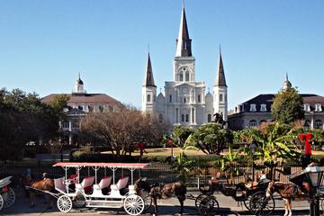 Private French Quarter Walking and City Surrounding Neighborhoods Driving Tour