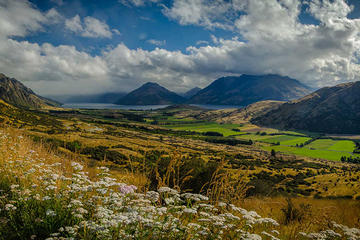 Private Tour: Half-Day Queenstown and Beyond Photography Tour
