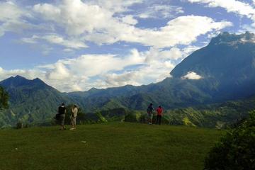 Full Day Kinabalu Park Tour