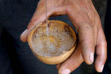 Mezcal tasting and food experience