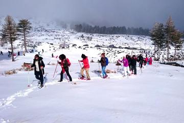 Mt. Etna Snowshoe Hike with Transport from Catania