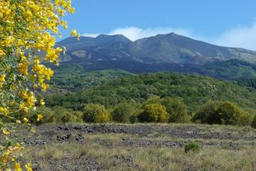 Etna Nature and Flavors Half-Day Tour