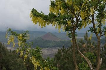 Etna Nature and Flavours from Siracusa