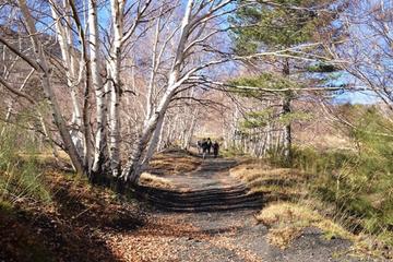Etna trekking experience from Catania