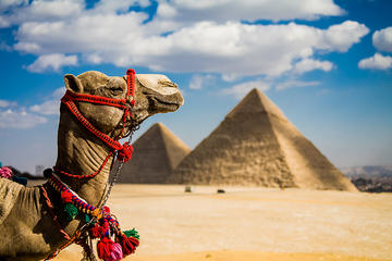 Guided Small-Group Day Tour to Great Pyramids and Egyptian Museum from Cairo
