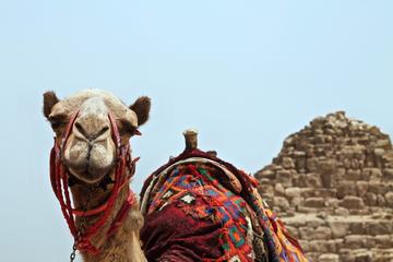 4 Days Cairo Stop Over With a Private Guide
