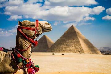 4 Days Cairo Stopover - Small Group With a Private Guide