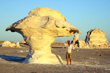 Bahariya Oasis Tour and Desert Safari from Cairo - 3 Days
