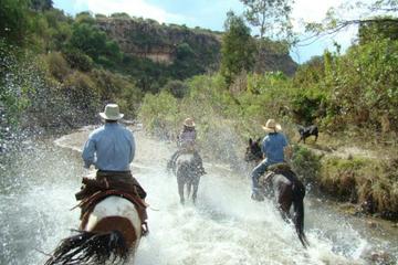 Half Day Horseback Riding Adventure