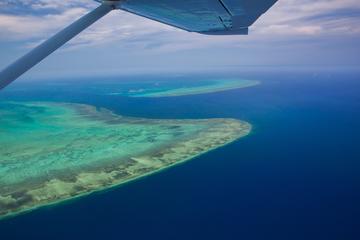 60-Minute Great Barrier Reef and Port Douglas High-Wing Scenic Flight from Cairns Including Green Island