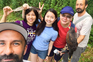 Private Medvednica Falconry Tour from Zagreb