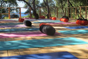 Zagreb Daily Yoga Sessions