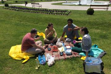 Zagreb Park and Picnic Bike Tour
