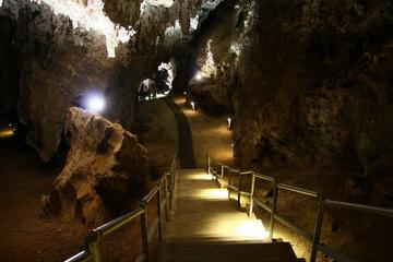 Cradle of Humankind full day tour from Pretoria and Johannesburg