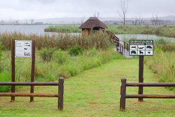 Rietvlei Nature Reserve half-day tour from Johannesburg