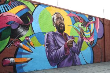 Murals of DC Walking Tour