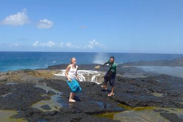 Half-Day South Coast Savaii Island Tour