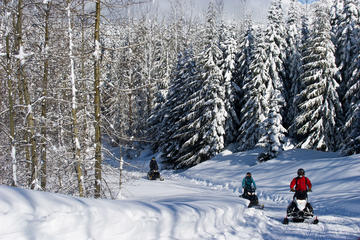 Callaghan Valley Winter Snowmobile Tour