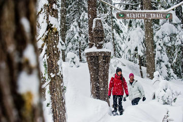 Whistler Snowshoe Adventure