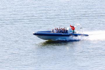 Helsinki Shore Excursion: Private Helsinki Archipelago High-speed Boat Cruise