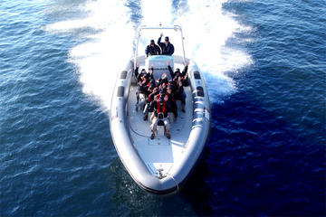 Private 1-Hour Helsinki Archipelago High-speed Boat Cruise