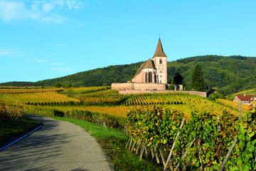 Alsace Full Day Wine Tour from Colmar